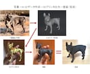 ペットのデータをAIが作成、プリント&塗装します 3Dプリントデータの作成はAIにお任せ！ イメージ2