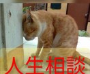 開運◆人生全般の相談にのります あなたの心に周波数を合わせて親身に寄り添う味方になります イメージ1