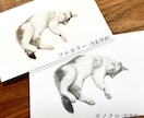 大切なペットとの思い出を鉛筆・色鉛筆画にします 大切な家族との幸せな時間を、温もりある作品として残します イメージ8