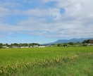 保育、子供分野のレポート・小論文作成支援 します AI使用無し！最良・最安、迅速・丁寧がモットーです♪ イメージ2