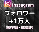 Instagramのフォロワー1万人以上増やします 格安で最高品質をお届け★伸びる拡散や宣伝で増加します★ イメージ10