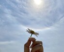 ちょっと誰かと話したい時のカウンセリング致します 心のヒーリング／貴方の心が少しでも軽くなるお手伝い イメージ2