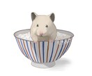 ペットのイラストを描きます ペットのイラストが欲しい方へあたたかい雰囲気が得意です！ イメージ5