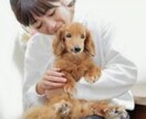 傍においで？ぎゅっ。としよう。お話聞きます お疲れ様(^^) エアーハグしよう。よしよし、いい子ね。 イメージ3