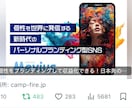 2.3万垢でクラウドファンディング拡散します フォロワー数は他社のような複合垢ではなく、単垢で日本ユーザー イメージ2