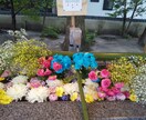 心の悩み相談　受付けます 一緒に考えて、解決しましょう✨ イメージ4