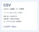 CSVの入力ルール確認とデータ整理を行います 問題一覧と修正版CSV・変更記録をお届け イメージ1