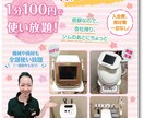 チラシ・POP・ポスター・DM等製作いたします オシャレ見やすいチラシ・フライヤー・ポスターなど作ります イメージ9