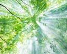 霊視鑑定します チャネリングを用いてあなたの気になるお相手の気持ちみます イメージ1