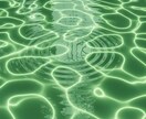 霊視鑑定◆波動調整士が、運命の急所をお伝えします 【5,000文字以上】天命・本質・運命など イメージ4