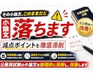 その小論文通用しますか？添削して合格レベルにします 元公務員が論理構成から徹底添削します イメージ1