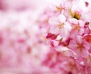 中学入試♡合格♡の嬉しさ共感いたします 中学受験ママが、共感しながら全力であなたに寄り添います♡ イメージ3