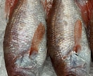 魚介類の目利き、美味しく調理するポイント教えます 魚屋で働き魚介専門店で働いた経験を基に的確なアドバイスを❗️ イメージ1