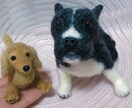 大切なペットちゃんのお人形を作ります 完成まで2週間。途中経過のお写真ご覧頂けます イメージ2