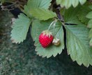 直感によるメッセージを伝えます 見えない世界のお話ししたい存在がメッセージを持ってきています イメージ1