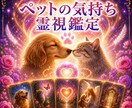 即日鑑定◆ペットの気持ちを霊視で深く視ます 先着5名ワンコイン鑑定◎ワンちゃんネコちゃんの気持ち◎ イメージ1
