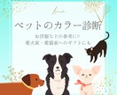 ペットカラー診断！ウチの子お似合いカラーを教えます 一緒に生活している犬や猫のパーソナルカラーを診断します✨ イメージ1