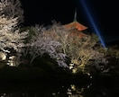 風景画や俳句にお役立ち！京都の絶景をお届けします ご希望の季節、天気、時間に合わせた写真/動画をお送りします！ イメージ1