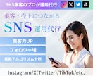 SNS集客のプロがInstagram運用代行します 商品が売れるアカウント設計、画像制作、運用代行、全て行います イメージ1