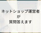 ネットショップ運営者が質問答えます 販売、副業、安く仕入れたい方など質問答えます イメージ1