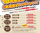 シンプルなチラシを安くご提供いたします 簡単なものをリーズナブルに作ってほしい！という方必見！ イメージ9