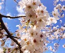 愚痴、悩み相談聞きます 家事、買い物しながら?電話でも大丈夫( *´﹀` *) イメージ2