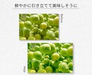 商品画像を見やすく魅力的にレタッチします ECサイト・広告用に◎商品写真を自然に美しく整えます！ イメージ5
