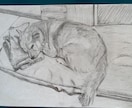 鉛筆でお犬さんを描きます お犬さんの思い出の写真を鉛筆画にいたします。 イメージ6