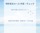 現役特許事務が外国事務・英語コレポン対応します 特許事務所の英文メール（コレポン）作成・チェックします！ イメージ1