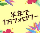 インスタグラムで1万フォロワー獲得する方法教えます 【期間限定価格】アルゴリズムから考えるフォロワー増加方法 イメージ1