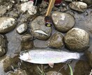 北海道のルアー渓流釣りのコツ色々おしえます 難しいルアーでの渓流釣りをサポートします！ イメージ2