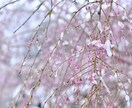 短い時間でも大丈夫です☆お話し聞きます 何でも大丈夫です☆話す事で心が楽に☆ イメージ7