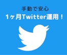 X (Twitter)運用を手動で1ヶ月行います 丸投げOK！完全手動で企業様や個人様のXアカウントを運用 イメージ1