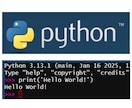 Pythonプログラミングの第一歩をお手伝いします インストールからHello World!までビデオチャットで イメージ2