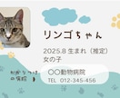 ネコさんの記録カード作成サポートをします 可愛い家族の成長記録や体調管理に使えるカードです。 イメージ7