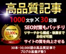 1000文字×30記事/高品質記事を大量制します 究極の記事パワーアップ！30本・30,000語でビジネスを煌 イメージ1