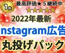 正規代理店がインスタグラム広告全て代行します ココナラ初「世界一かんたん！インスタグラム広告丸投げパック」 イメージ1