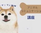 アニコミ講座のマンツーマン指導致します アニコミ講座ご購入の方へのマンツーマン指導 イメージ1