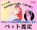 ペットの気持ちをタロットで優しく読み解きます タロットが繋ぐ家族の絆｜言葉にできない心の声を優しく通訳 イメージ1