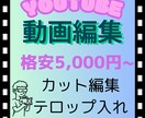 動画編集（カット・テロップ入れ）します 不要な部分のカットと字幕入れのみのシンプルな編集です♪ イメージ1
