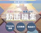 Youtube/広告/商品紹介動画　制作致します オシャレに可愛くなどもOK!　ココナラ初心者にも優しい★ イメージ1