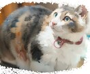 商用利用OK！写真から動物の水彩イラストを描きます ご自身のペットを水彩画風の温かいイラストにしたい！ イメージ1