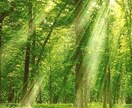 少しでも♪癒されたい♪何でもききます トークルームで何通でもLINE感覚でやりとりします♪ イメージ5