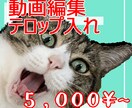 動画編集/テロップ（字幕）お入れします テロップで動画を華やかにしてみませんか？ イメージ1