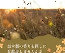 カードリーディングであなたのお悩みを鑑定します モヤモヤした気持ち、一緒に整理しませんか？【女性専用】 イメージ2