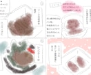 4コマ漫画描きます カラー4コマ漫画描きます、よろしくお願いします イメージ4