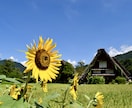 47都道府県！国内旅行プランお手伝いします 【日本一周した旅行好き夫婦】旅行プラン一緒に考えます！ イメージ5