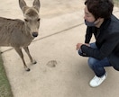きらーーくにどうぞ！あなたにそっと寄り添います どんな話しでもOK！暇電から深刻な悩みまで親身にお聞きします イメージ1