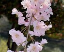 心のもやもや、お聞きします 話したいこと、まとまっていなくても大丈夫。 イメージ1