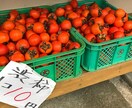 嫌な上司の料理法を教えます 「最悪の毎日」と「希望の未来」の架け橋になると思います イメージ1